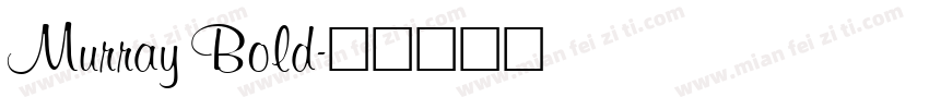 Murray Bold字体转换